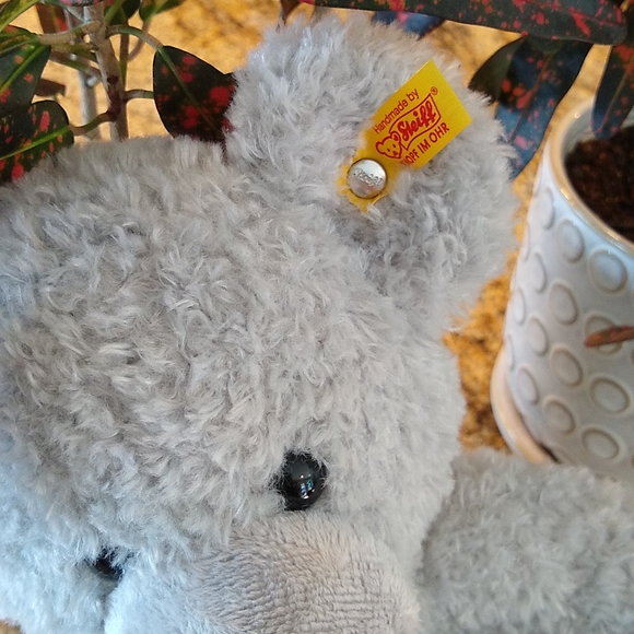 Steiff New Teddy Bear Fynn - Picture 7 of 7